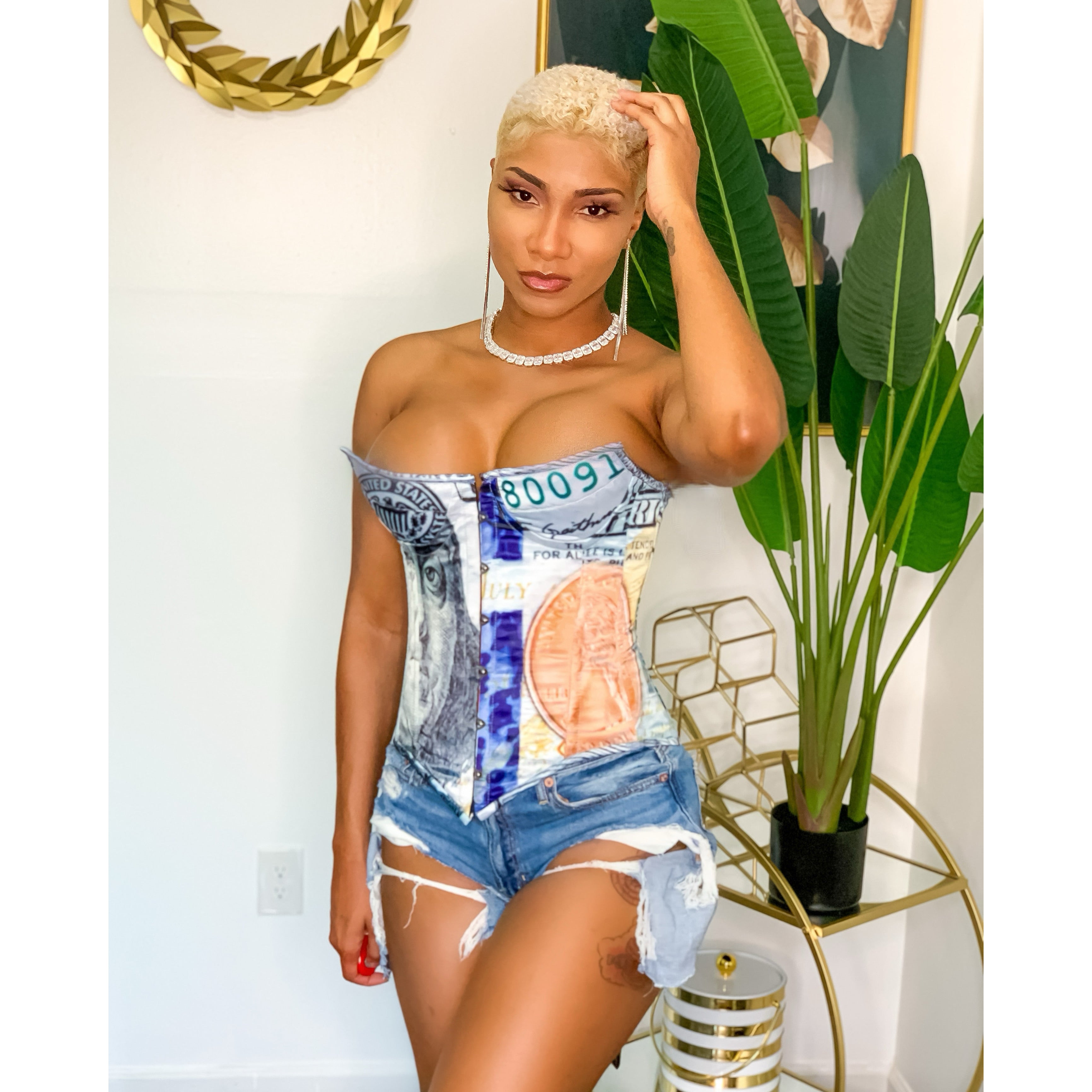 Harper Money Corset (4811077419043)