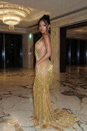 ‘Toferin’ Fringe Dress